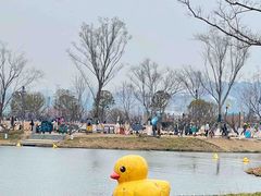-南京银杏湖乐园