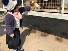 -大连铭湖国际观光牧场