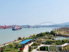 -芒洲湿地公园