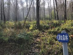 -北京鹫峰国家森林公园