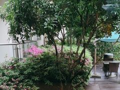 -棕榈岛海鲜自助餐厅(虹桥迎宾馆店)