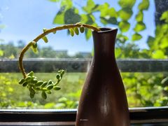 -三忘湖 SWANSEEN(柳荫公园店)