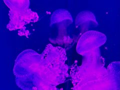 -沈阳海洋探索中心