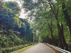 -风云岭森林公园