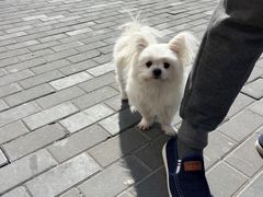 -安福路
