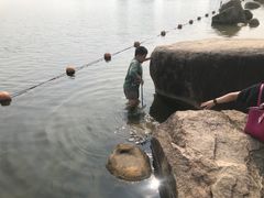 -暨阳湖生态园