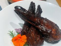 -杨氏青龙虾·羊蝎子(托乐嘉店)