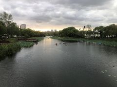 -新江湾城公园