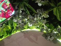 -阿记烧烤(大兴新区店)