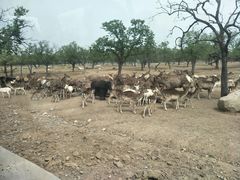 -西安秦岭野生动物园