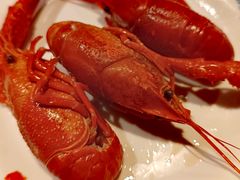 -星伦多自助料理(爱琴海店)