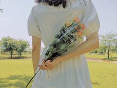 -九龙湖公园
