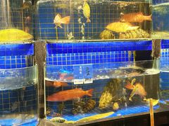 海鲜-长禧家·珑厨(东山口店)