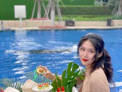 -新都绿城喜来登酒店大堂吧