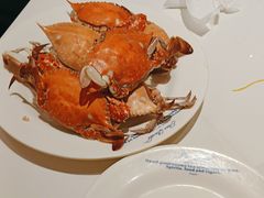 -星伦多自助料理·涮烤一体(奉贤龙湖天街店)