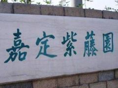 -嘉定紫藤园