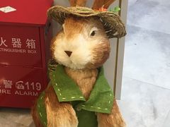 -银座mall(东直门店)