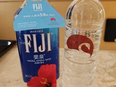 -广州白天鹅宾馆