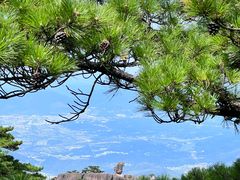 -黄山风景区