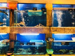 水产区-玖味(老工人西路店)