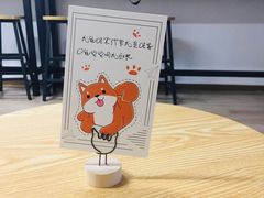 -柴迷FANS CLUB·柴犬狗咖·猫咖