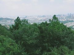 -灵岩山风景区
