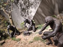 -北京周口店北京人遗址博物馆