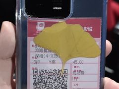 -横店电影城(王府井店)
