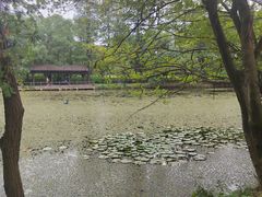 -东湖落雁景区