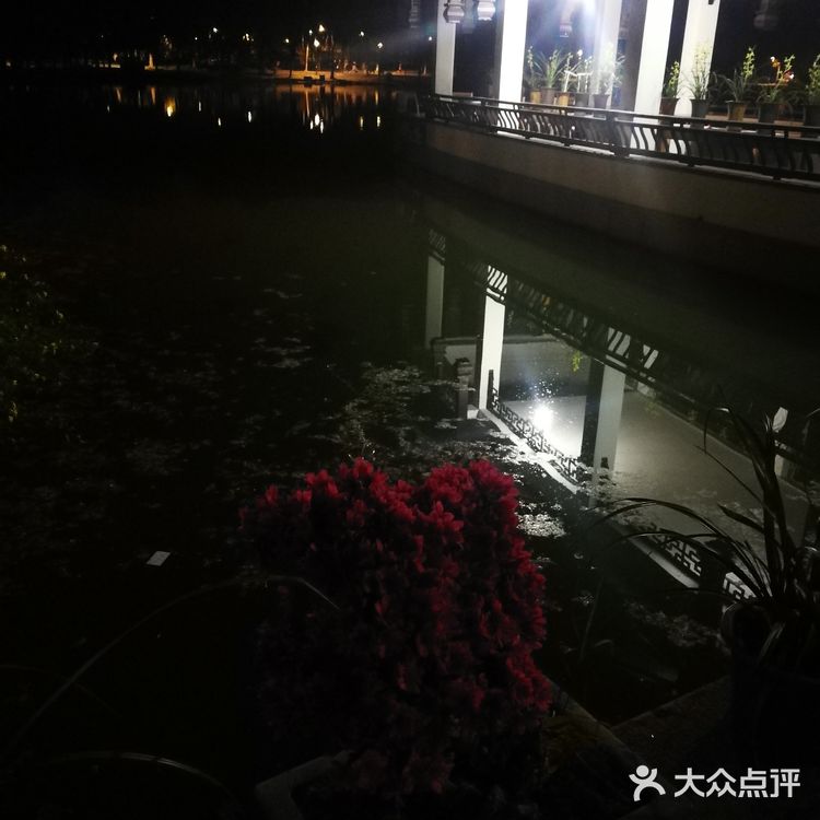 那天有个特色就是兰花展 兰花品种很多 拍拍照挺好的！