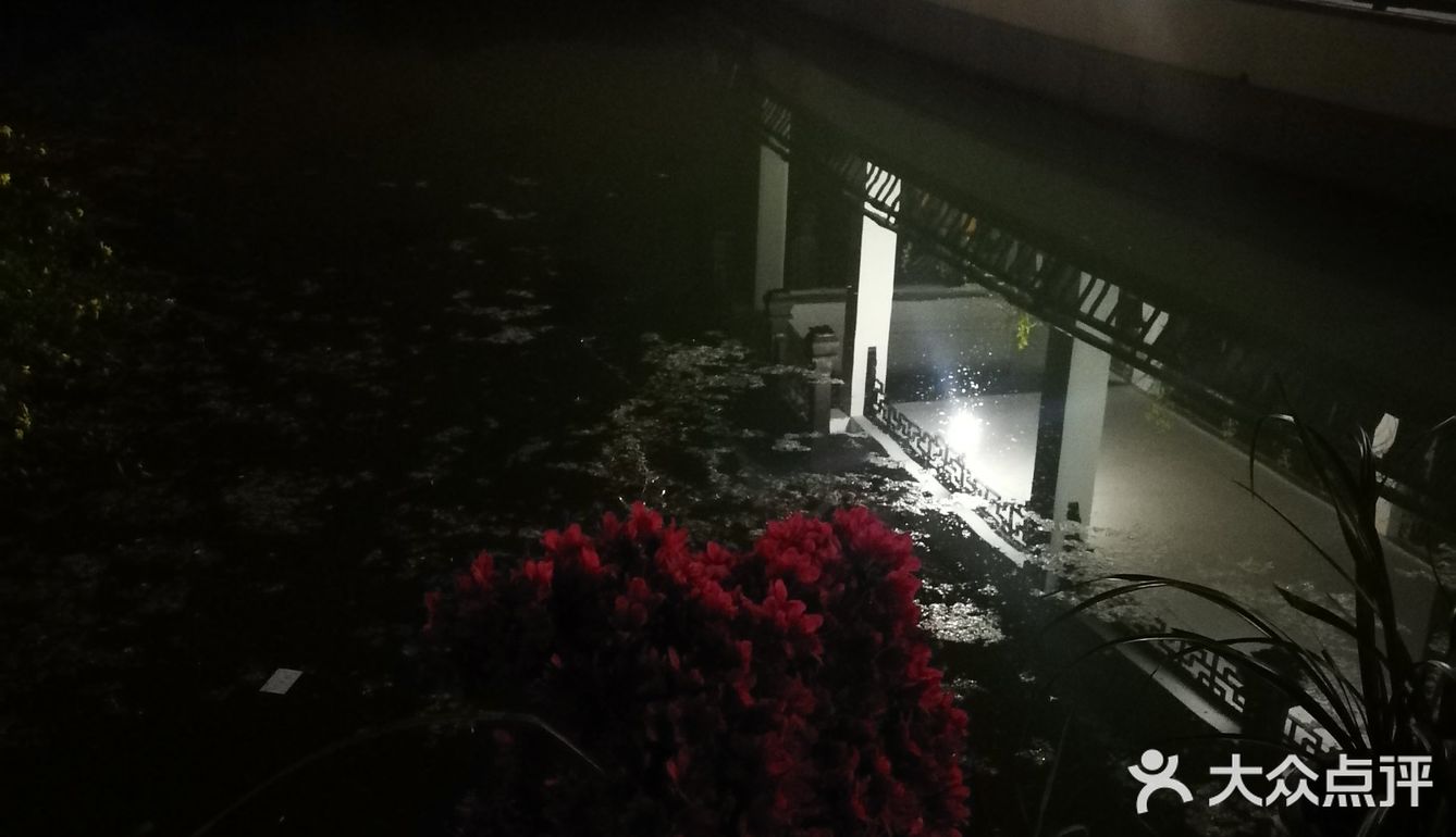 那天有个特色就是兰花展 兰花品种很多 拍拍照挺好的！