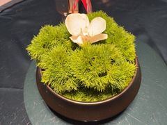 -徐记海鲜(大明宫|北二环店)