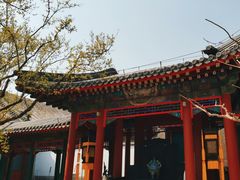-听鹂馆饭庄(颐和园店)