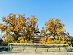 -北京石刻艺术博物馆(五塔寺)