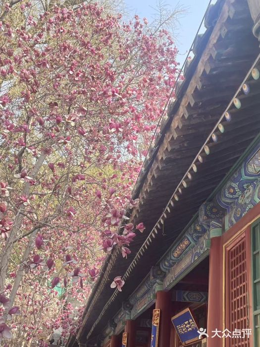 潭柘寺景区图片