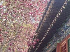 -潭柘寺景区