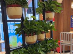 -汉堡王(武清创意米兰店)