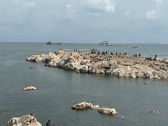 -养马岛旅游度假区