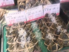 水产区-沪华海鲜大酒楼(南汇店)