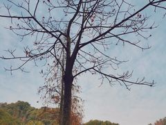 -南漈山