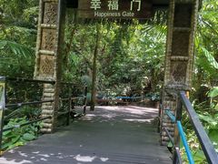 -呀诺达热带雨林