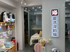 -爱洗澡的猫(望京店)