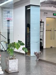 -飛凡TATTOO纹身•原创