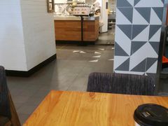 -油梨树 AVOCADO TREE(亮马桥店)