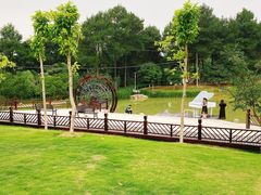 -铁山坪森林公园