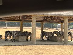 -杭州野生动物世界