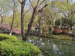 -桐乡植物园