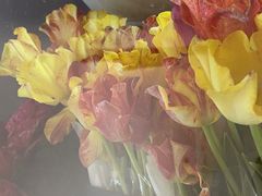 -循礼门鲜花花市(武汉循礼门店)