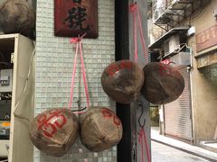 -洪馨椰子