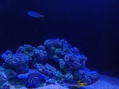 -欢乐海岸海洋奇梦馆